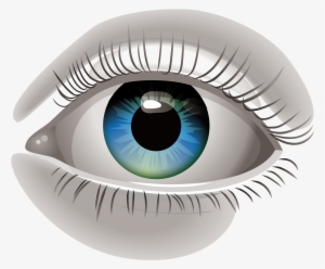 Human Eye Euclidean Vector Clip Art - Ojo Humano Png