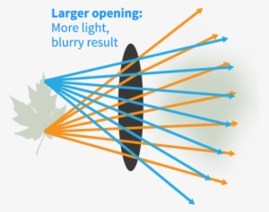 Diagram Of Opening In The Human Eye - Graphic Design