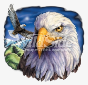 One Eagle Flying & Eagle Head - American Eagle Flag Png