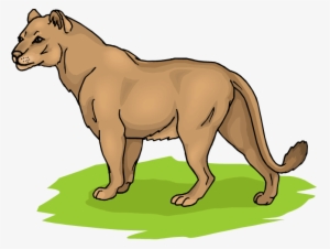 Lion Png Clipart 1045 12 Astrodisco - Lioness Clip Art