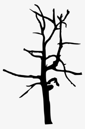 Free Png Simple Bare Tree Silhouette Png Images Transparent - Bare Twig Transparency