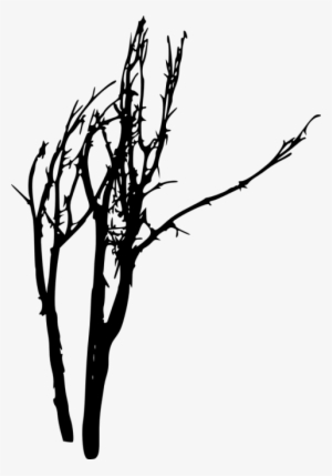 Free Png Bare Tree Silhouette Png Images Transparent - Portable Network Graphics