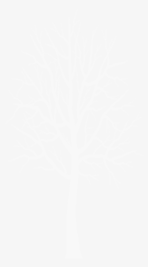 White Tree Transparent Png - Portable Network Graphics