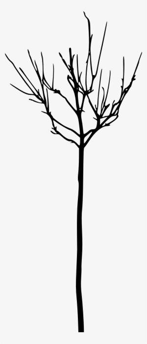 Free Png Simple Bare Tree Silhouette Png Images Transparent - Twig