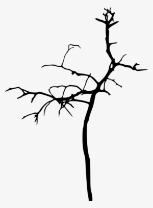 Free Png Simple Bare Tree Silhouette Png Images Transparent - Silhouette