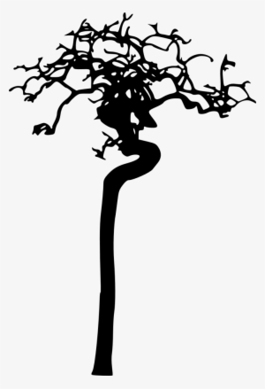 18 Bare Tree Silhouette Vol - Silhouette