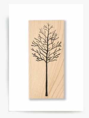 Bare Trees - Red Pine