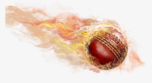 Cricket Ball Fire Png - Cricket