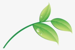 Connect With Us - Bio Leaf