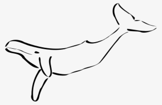 Whale Clipart Png