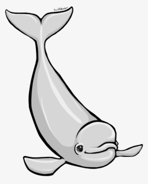 Beluga Whale Clipart - Beluga Clipart