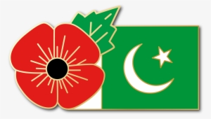 Image Of Pakistan Fmn Poppy/flag Combo Medal