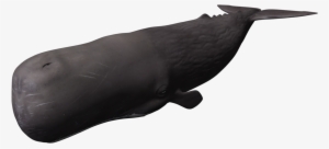 Sperm Whale Clipart Brown - Whale 3d Png