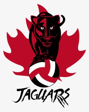 Cochrane Jaguars Youth Volleyball Club - Volleyball