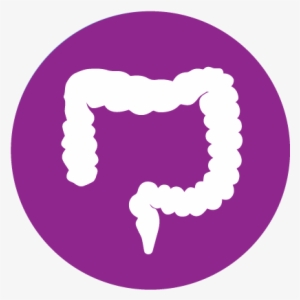 Digestive System - $2 - 50 - Ceu - - Colon Cancer Icon