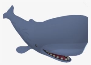 Whales
