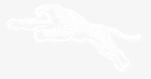 Blue Springs - Blue Springs South Logo