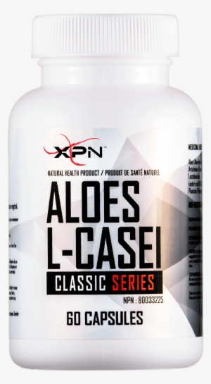 Digestive System - Xpn