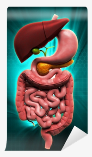 Nutrition And Bariatric Surgery [book]