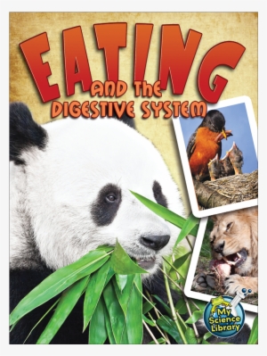 Tcr102348 Eating And The Digestive System Image - Eating And The Digestive System