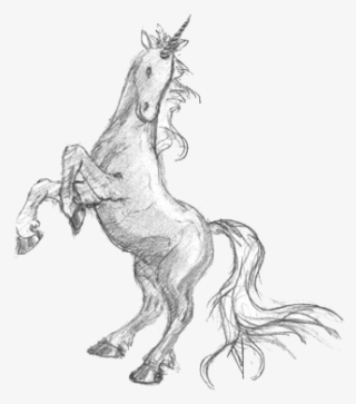 Drawing Unicorn Hand Painted Handpainted - Drawing