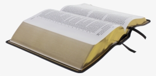 Pulpit Bible Open Angle Sm - Dairy