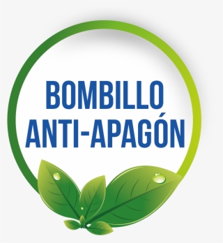 La Nueva Generación De Bombillos Led De Magnatech Ha - Sayreville War Memorial High School