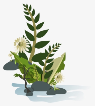 How To Set Use Green Plant Svg Vector