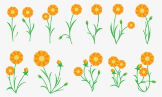 Calendula Plant Vector - Calendula Vector