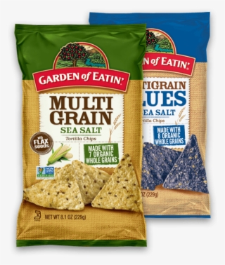 Layered Mexican Bean Dip - Garden Of Eatin Multigrain Tortilla Chips