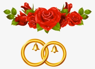 Marriage, Album, Grooms, Wedding, Casamento, Mariage, - Red Roses Transparent