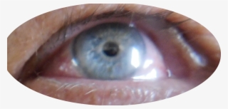 And Below On An Average Day - Close-up