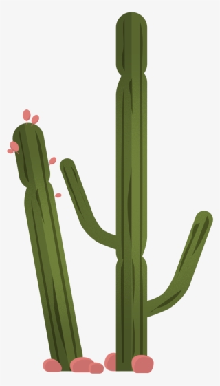 Vector Trees & Exterior Plants - Hedgehog Cactus