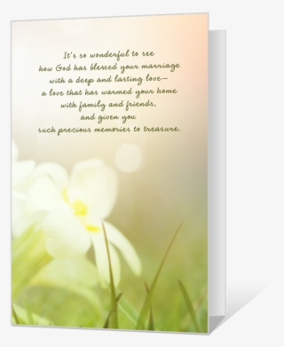 A Blessed Marriage - Moth Orchid