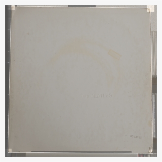 By Default, Franz Has Adjusted The Scale Of The 3d - Whiteboard