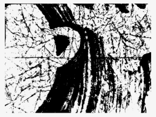 Medium Image - Monochrome