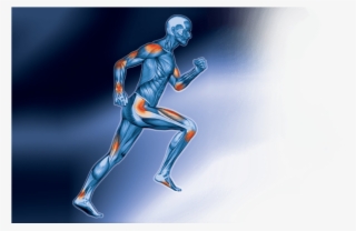 Platelet-rich Plasma - Platelet Rich Plasma Therapy