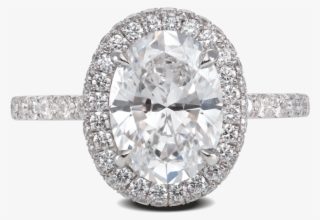 Ring Glamour Flush Platinum Halo Diamonds Steven Kirsch - Diamond Ring Flush Halo