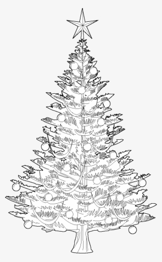 A Dashing Dwg Christmas Tree Vector Trees - Christmas Tree