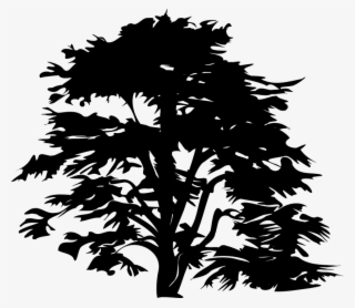 Pine Tree Clipart Dark Tree - Black Clip Art Tree