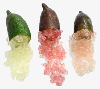 Caviar Lime Png - Finger Limes