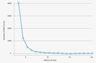 Number Of Dna Circles Of Sizes 3 Through 20 (x Axis) - Plot