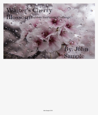 Winter's Cherry Blossom *wip* - Cherry Blossom