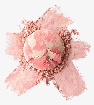 The Art Of Blushing - Garden Roses