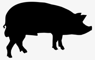 Png File Svg - Buffalo Pumpkin Carving Stencils