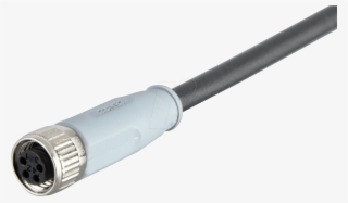 Sal M8 X 1, 4-pin, 2 M, Cable Coupling Conec - Vérin Pneumatique Sans Tige