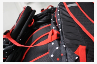 Bags, Wallets & Accessories, Luggage, Underwear, Intimates, - Cross Training Shoe