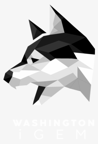 Gallery - Origami
