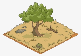 Shady Tree - Oak