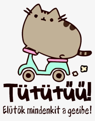 Pusheen Cat- Tütütűű